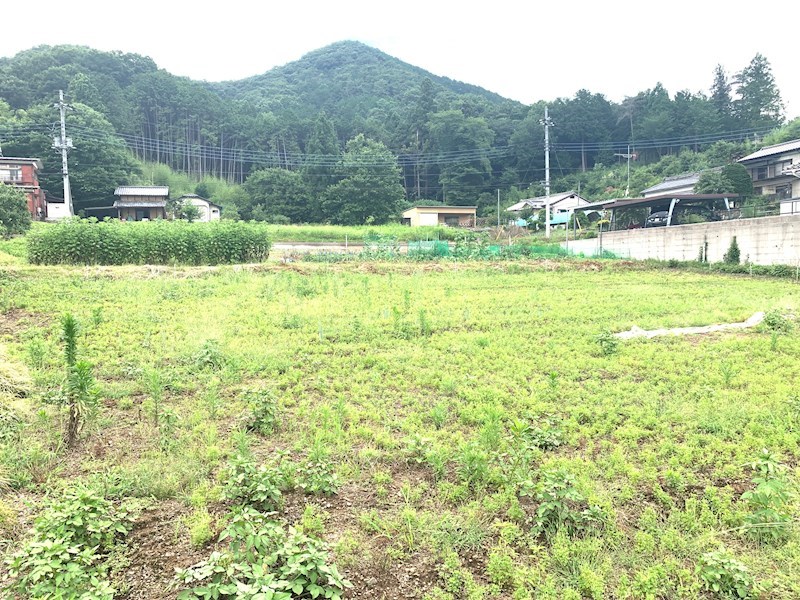 4046番1 現地写真