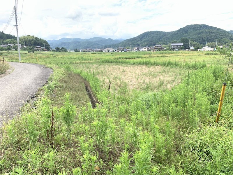 4132番1 現地写真