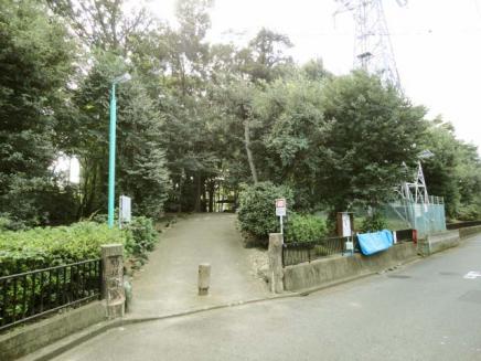浦和区元町貸家 駒場緑地