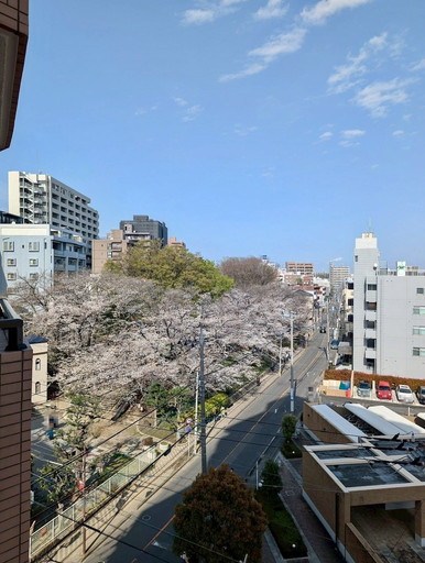 クリオ南浦和参番館 現地からの眺望。春には、桜並木を一望できます♪