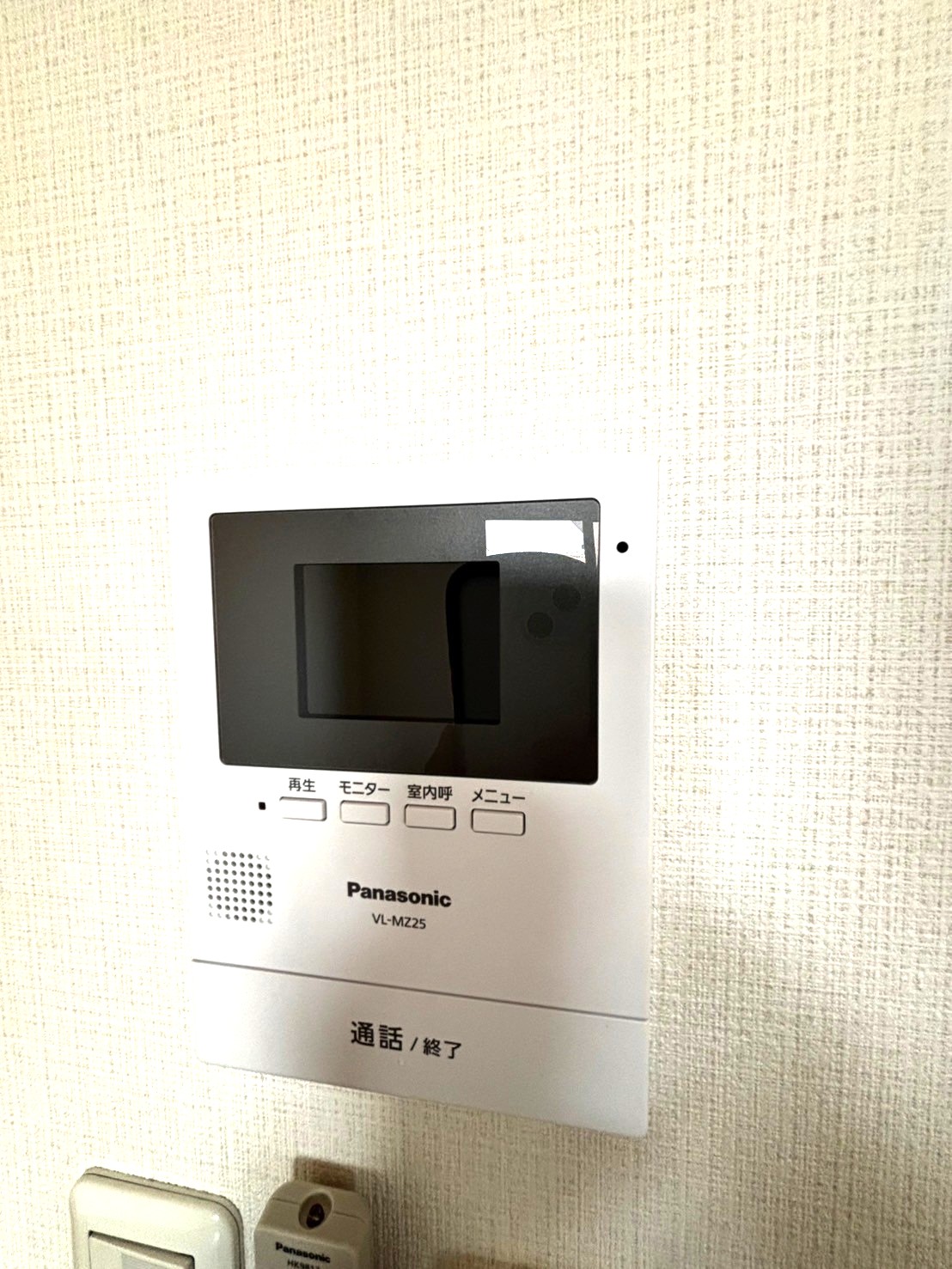 レグルス 1745050737492
