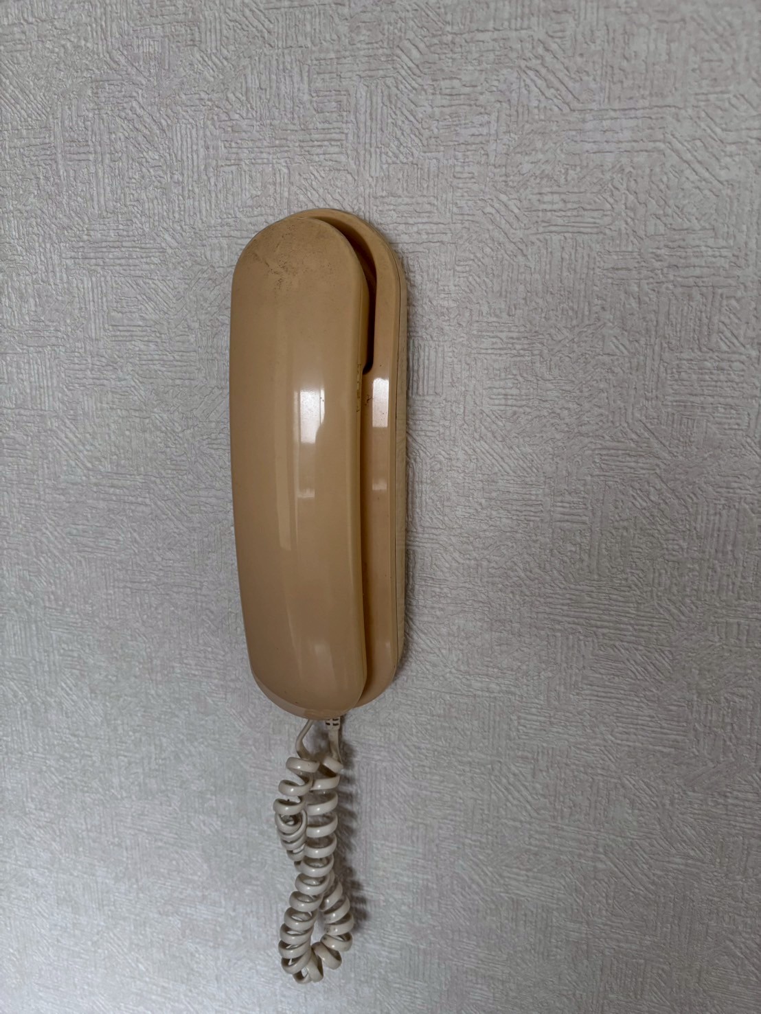 ホワイトハイム第3 1747899256707