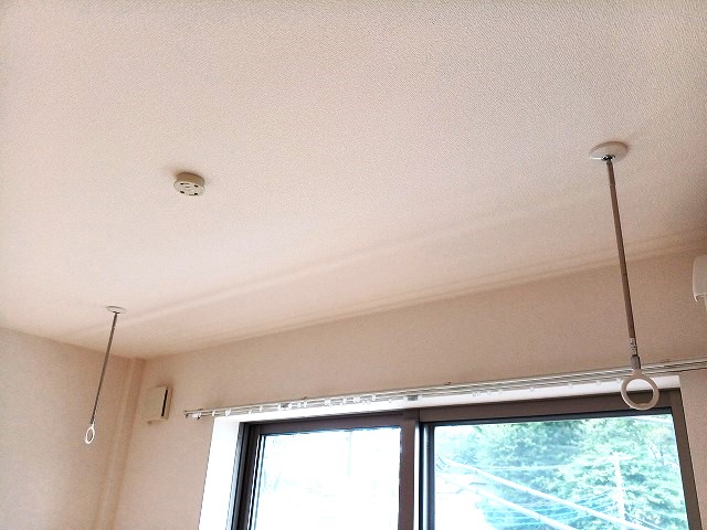 メゾン　クレール s-20240610_142645