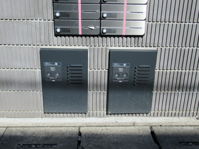 NeST芝 s-IMG_5330
