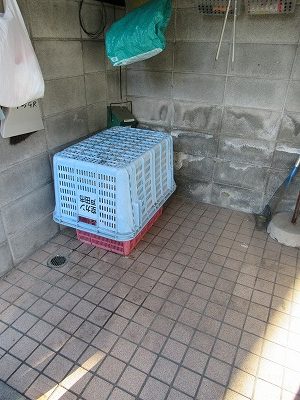 中町グレースハイム s-IMG_5699